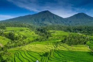 Maraknya Fenomena Nominee, Siasat WNA Beli Tanah di Bali