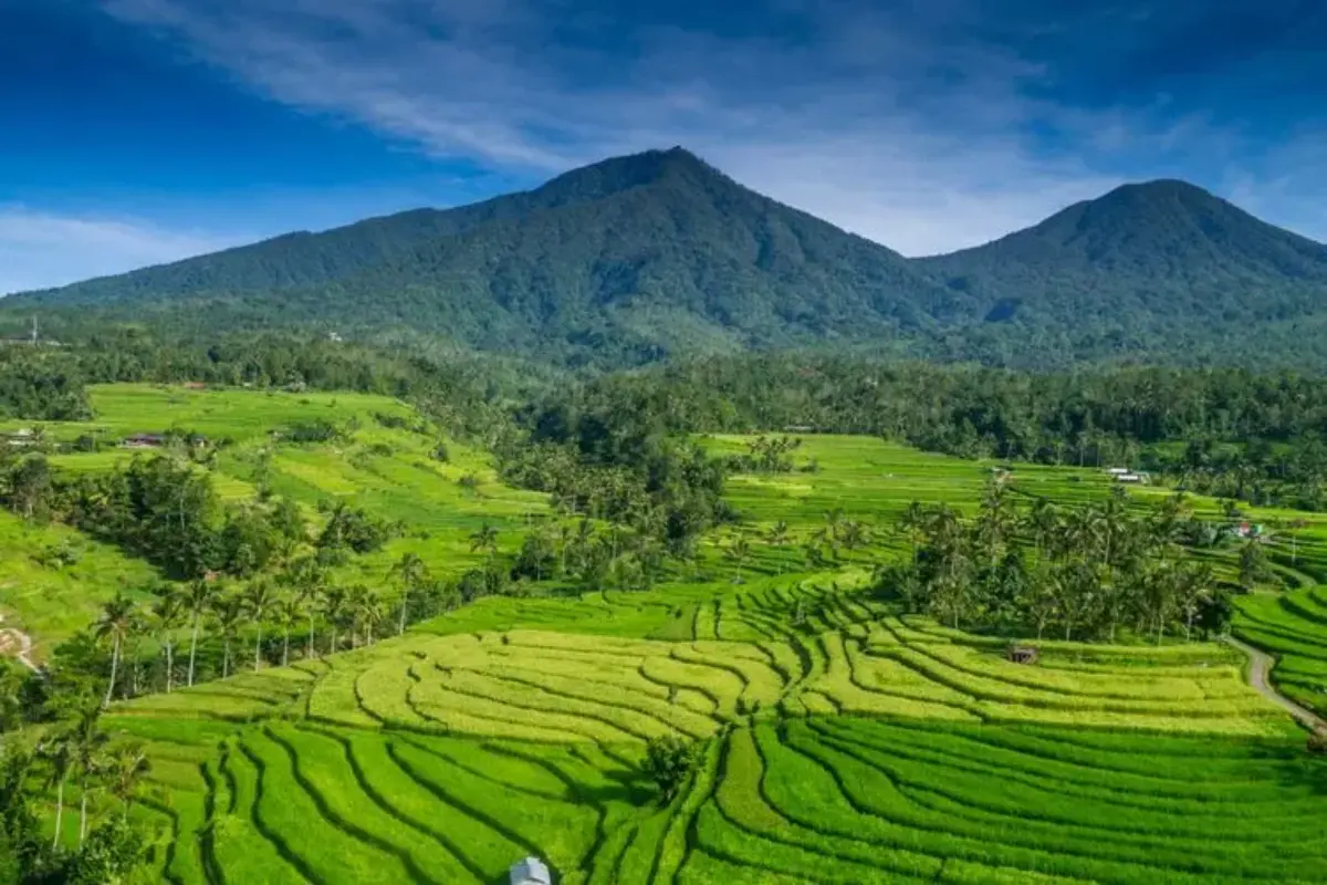 Maraknya Fenomena Nominee, Siasat Wna Beli Tanah Di Bali