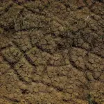 BPBD Gencarkan Pemantauan, 7 Wilayah Jaksel dan 2 Jaktim Rawan Longsor