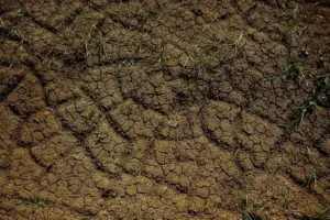 BPBD Gencarkan Pemantauan, 7 Wilayah Jaksel dan 2 Jaktim Rawan Longsor