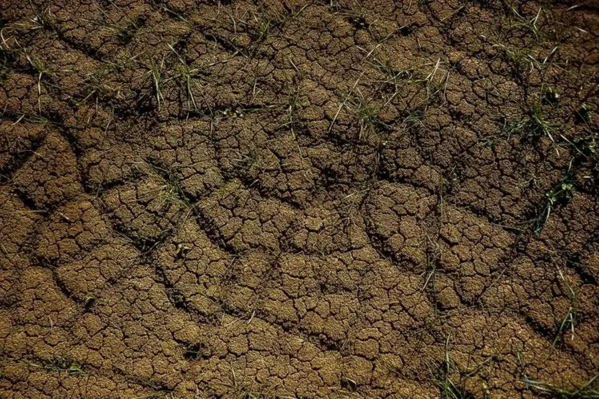 BPBD Gencarkan Pemantauan, 7 Wilayah Jaksel dan 2 Jaktim Rawan Longsor