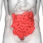 Studi Ungkap Lama Feses di Usus Bisa Pengaruhi Kesehatan Tubuh