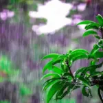 BMKG Perdiksi Hujan Lebat di Jateng hingga Akhir April 2026, Waspada Banjir dan Tanah Longsor