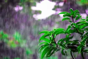 BMKG Perdiksi Hujan Lebat di Jateng hingga Akhir April 2026, Waspada Banjir dan Tanah Longsor