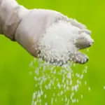 China Tahan Gejolak Harga Pupuk Global Berkat Batu Bara