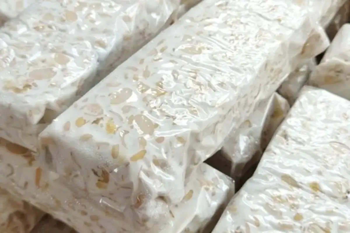 Geliat Pabrik Tempe Di Kramat Jati Yang Suplai Kebutuhan Dapur Mbg