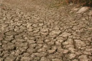 BPBD DKI Sebut Kawasan Cipedak Jaksel Rawan Kekeringan