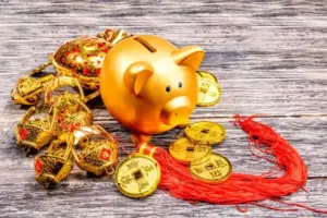 6 Pekerjaan Pembawa Hoki untuk Shio Babi Menurut Astrologi