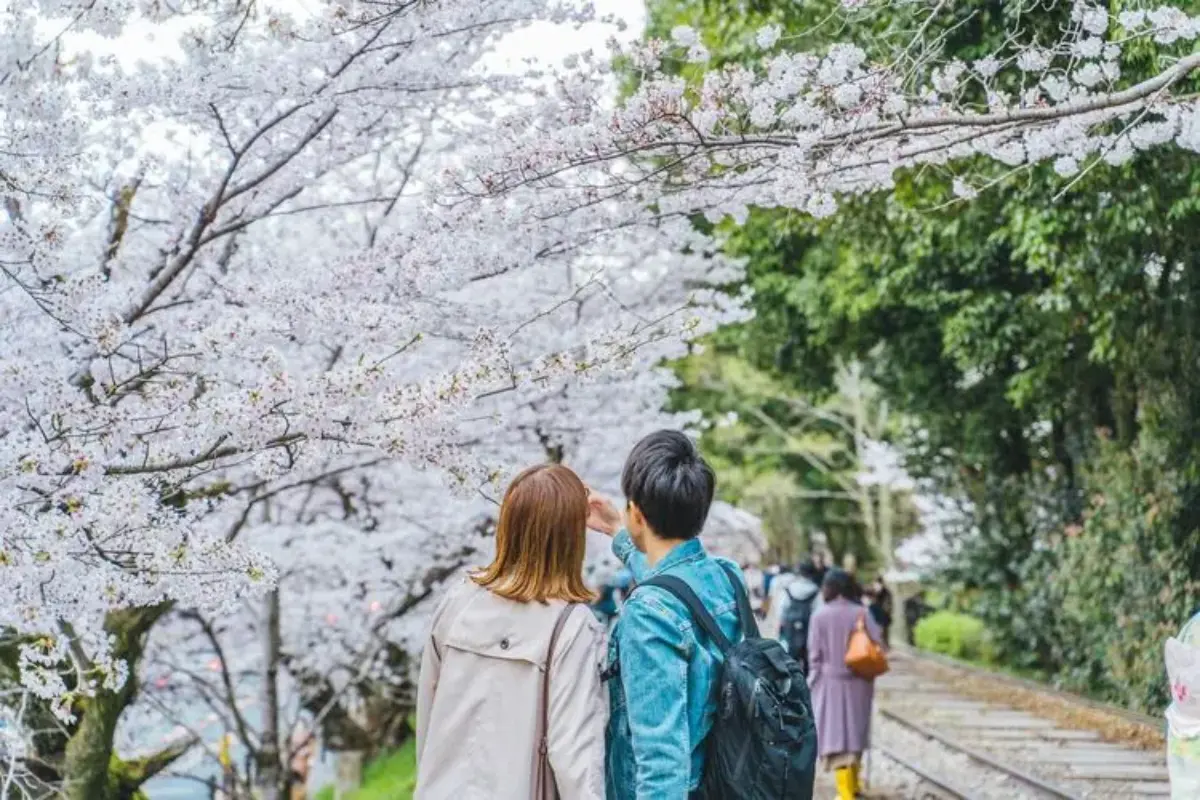 Ini Strategi Jepang Agar Warganya Punya Paspor Dan Rajin Ke Luar Negeri
