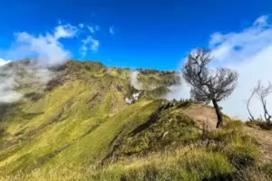 Pendakian Gunung Merbabu via Thekelan Ditutup mulai 29 Mei, Ada Apa?
