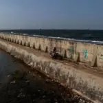 Pakar UGM Kritik Proyek Giant Sea Wall di Pantura, Ini Alasannya