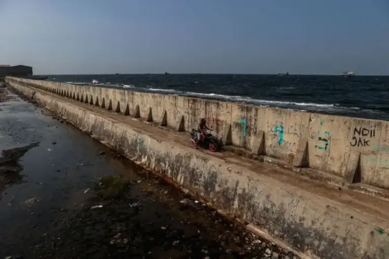 Pakar UGM Kritik Proyek Giant Sea Wall di Pantura, Ini Alasannya