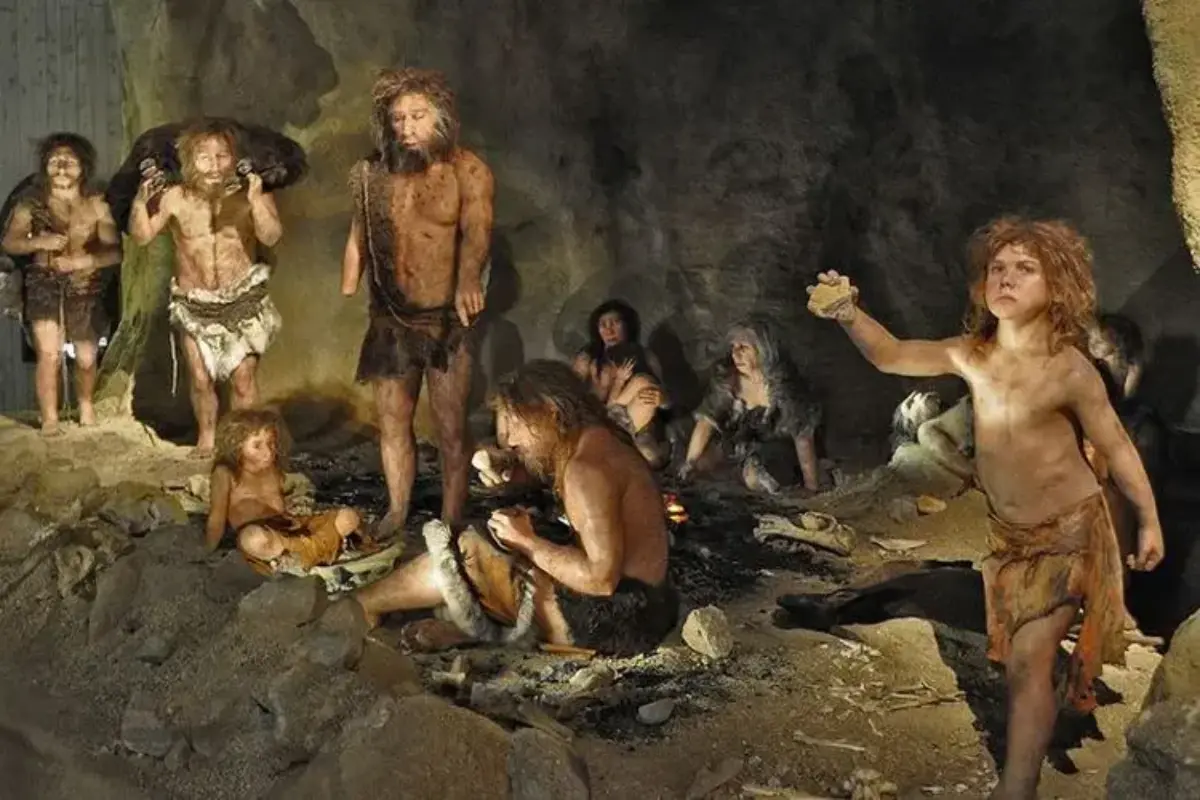 Dna Neanderthal Masih Hidup Di Otak Kita, Pakar Ungkap Kaitan Dengan Skizofrenia