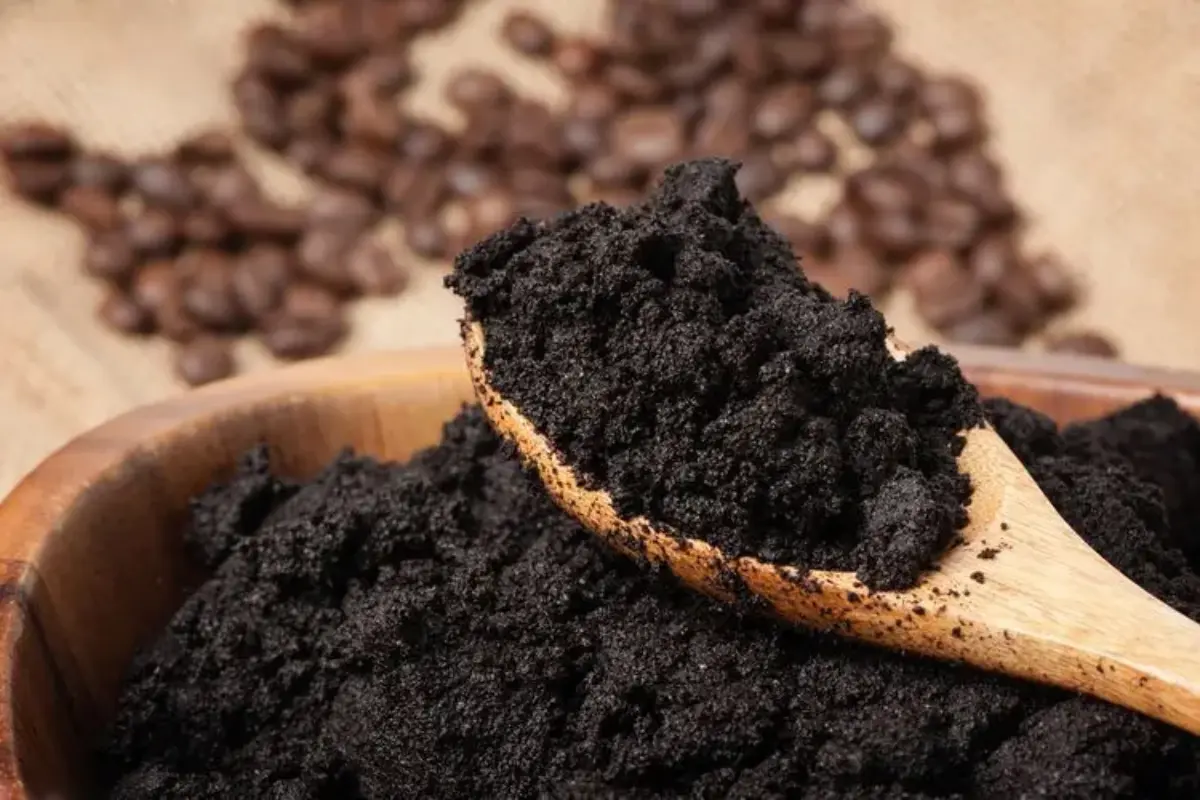 Jangan Dibuang! Ini 5 Benda Yang Bisa Bersih Pakai Ampas Kopi