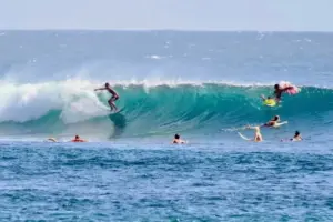 Mengapa Indonesia Disebut Sebagai Negara Terbaik di Dunia Untuk Berselancar? Ini Alasannya!