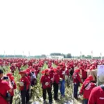 Industri Holtikultura RI Hadapi Tantangan Iklim dan Kenaikan Biaya Produksi