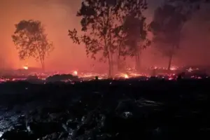 Godzilla El Nino Berisiko Picu Karhutla, Ancam Iklim dan Keanekaragaman Hayati
