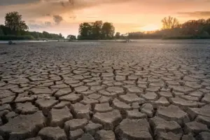 Kawasan Cipedak Jaksel Rawan Kekeringan, Kekeringan Ekstrem 2023 Terulang?