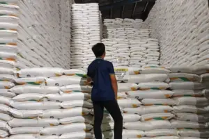 Mengkaji Ulang Rencana BUMN Kuasai Impor Gula Rafinasi dari Sisi Akademisi