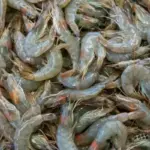 5 Cara Membersihkan Udang agar Tidak Amis dari Chef