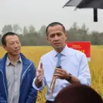 Strategi Kementrans Kejar Pasar Durian Rp 137 Triliun Tanpa Bergantung pada China