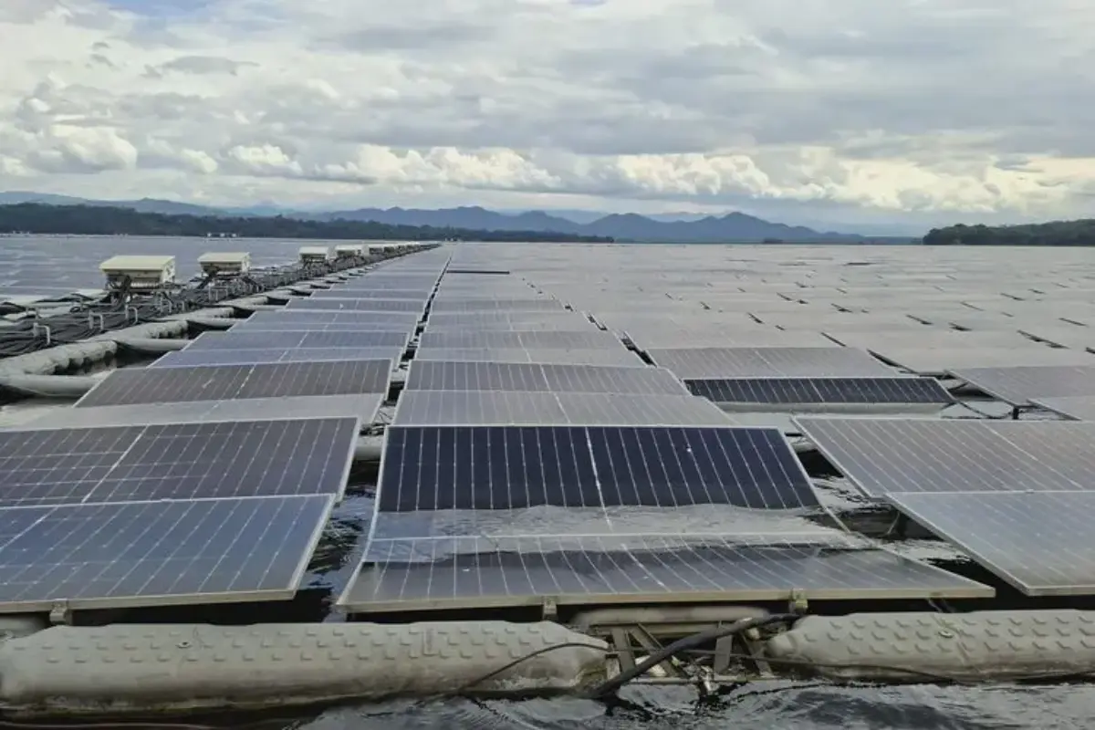 Esdm Genjot Pembangunan Plts 100 Gw, Serap Panel Surya Dalam Negeri