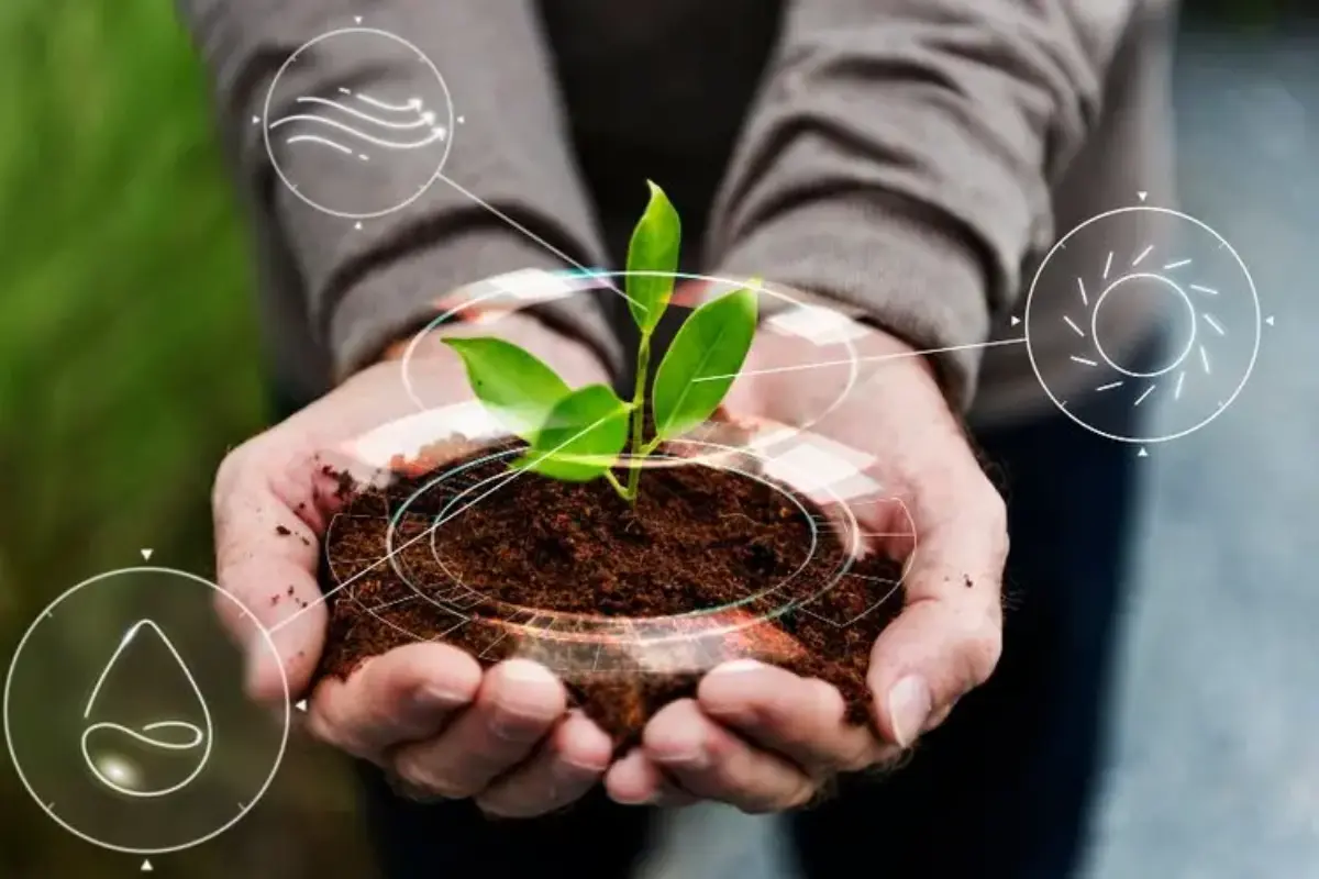 Gaya Hidup Ramah Lingkungan Masih Mahal