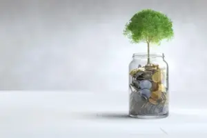 Tips Investasi Reksadana Bagi Pemula dari BRI, Simak Langkahnya
