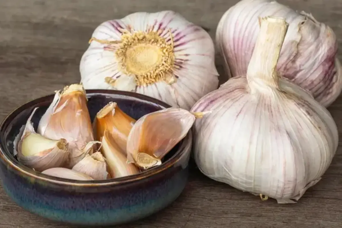 Bawang Putih Bertunas, Benarkah Berbahaya Atau Justru Lebih Sehat?