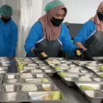 Contohkan Jepang, BGN Soroti Dampak Positif Program Gizi yang Konsisten