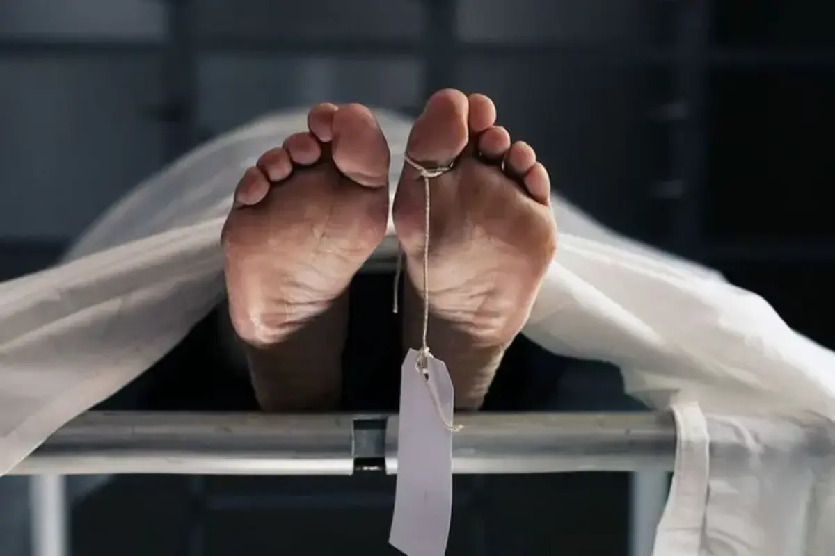 Lansia Penumpang Astrea Tewas Usai Ditabrak Pikap di Sleman: Sopir Ngebut, Diduga Kurang Konsentrasi