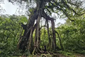 7 Wisata Alam Bali yang Cantik dan Menyejukkan Selain Pantai