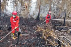 Daftar Wilayah Rawan Karhutla di Jateng 2026, Blora hingga Wonogiri Masuk Zona Merah