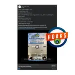 INFOGRAFIK: Muncul Hoaks Pendaftaran CPNS Kemenkeu Periode April-Mei 2026