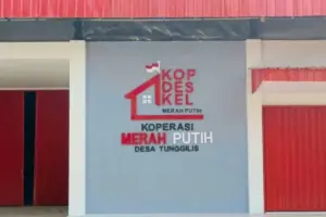 Soal Bank Didorong Danai Program Pemerintah, Ini Kata LPS