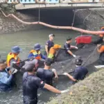 Pakar BRIN: Jangan Hanya Fokus Ikan Sapu-sapu, Ada 18 Spesies Invasif Mengintai Perairan Kita