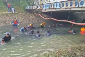 Kenapa Sungai di Jakarta Jadi Tempat Sempurna bagi Perkembangan Ikan Sapu-Sapu?