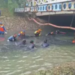 Pakar BRIN: Penangkapan Manual Ikan Sapu-sapu di Jakarta Harus Berkelanjutan