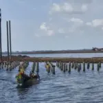 Laut Cilincing Terkepung Reklamasi, Nelayan: Pak Gubernur Tolong Turun ke Lokasi!