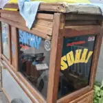 Ada yang Pakai Ikan Sapu-sapu untuk Siomay, Simak Bahaya yang Mengintai