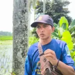 Kisah Pilu Ulu-ulu di Jember: Kerja Siang Malam Atur Irigasi, Tak Dibayar karena Petani Gagal Panen