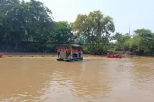 Kali Bekasi Jadi “Sarang” Ikan Sapu-sapu, Penangkapan Massal Juni 2026