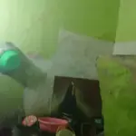 Kronologi Wanita Paruh Baya Tewas Tertimpa Tembok Kamar Mandi di Jakut