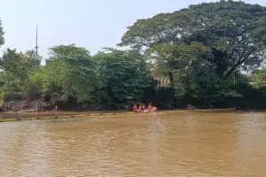 Diam-diam Mendominasi, Ikan Sapu-sapu Disebut “Bersarang” di Kali Bekasi