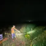 Petani di Blora Ditemukan Meninggal di Sawah, Tersengat Listrik Jebakan Tikus