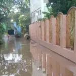Banjir Pasuruan Tinggal di 1 Desa, Jalur Pantura Kembali Normal
