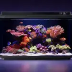 Akuarium Pintar Ini Pakai AI, Pelihara Ikan Tak Perlu Repot Lagi