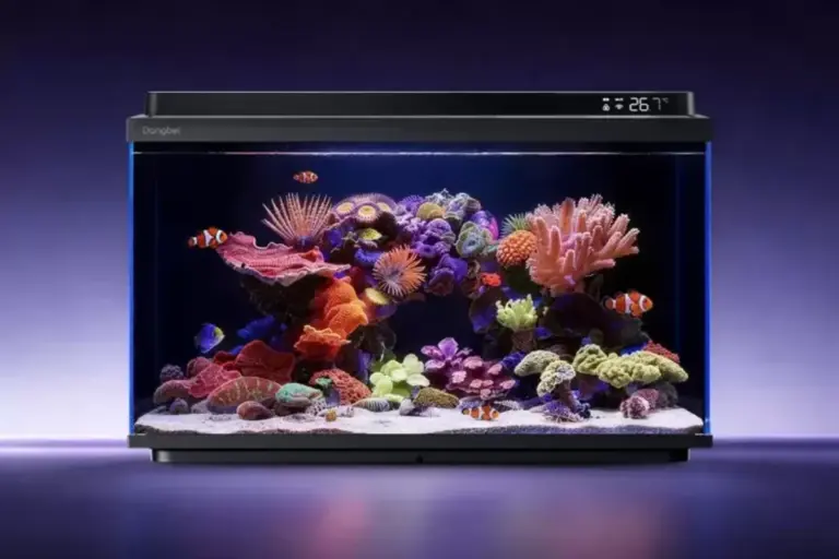 Akuarium Pintar Ini Pakai AI, Pelihara Ikan Tak Perlu Repot Lagi