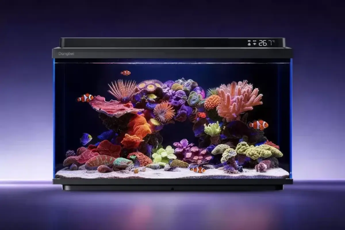 Akuarium Pintar Ini Pakai AI, Pelihara Ikan Tak Perlu Repot Lagi