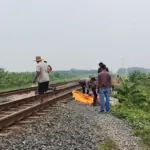 Petani di Indramayu Tewas Tertabrak Kereta Saat Cari Sisa Padi